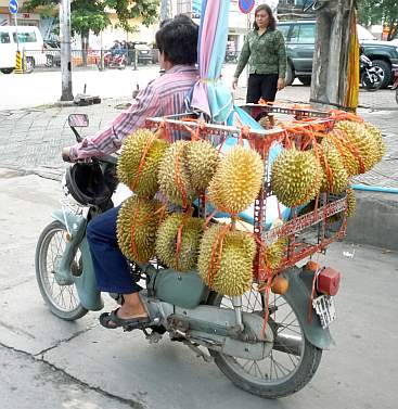 Motorcycle load of durians